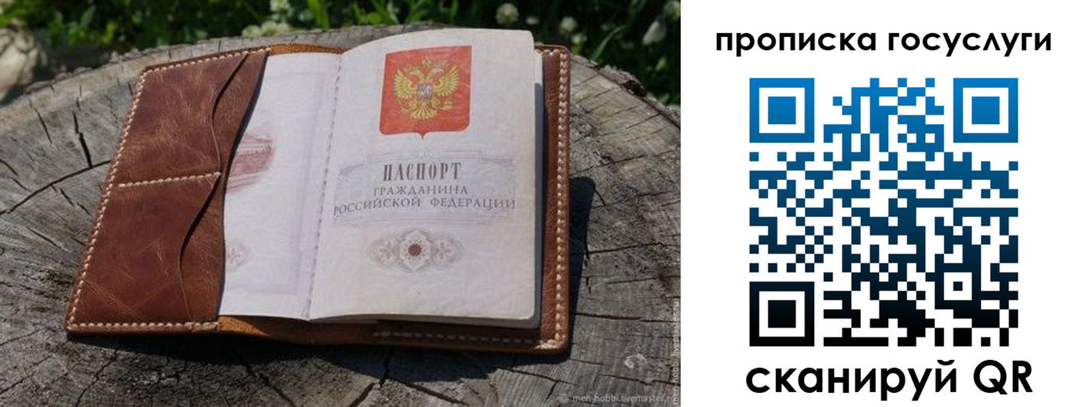 прописка для школы в Балее